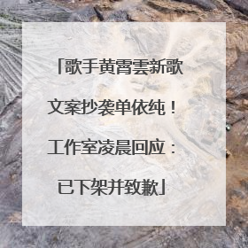 歌手黄霄雲新歌文案抄袭单依纯！工作室凌晨回应：已下架并致歉