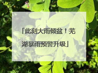 此刻大雨倾盆！芜湖暴雨预警升级