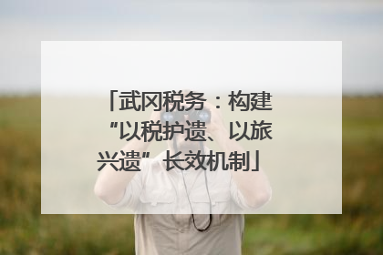 武冈税务：构建“以税护遗、以旅兴遗”长效机制