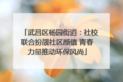 武昌区杨园街道：社校联合扮靓社区颜值 青春力量推动环保风尚