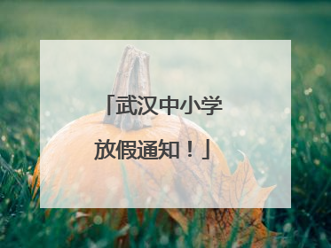 武汉中小学放假通知！