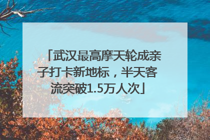 武汉最高摩天轮成亲子打卡新地标，半天客流突破1.5万人次