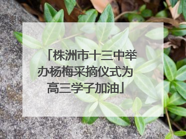 株洲市十三中举办杨梅采摘仪式为高三学子加油