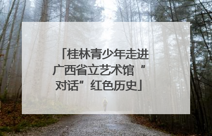 桂林青少年走进广西省立艺术馆“对话”红色历史
