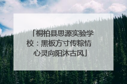 桐柏县思源实验学校：黑板方寸传粽情 心灵向阳沐古风