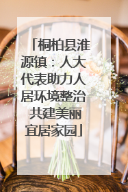 桐柏县淮源镇：人大代表助力人居环境整治 共建美丽宜居家园
