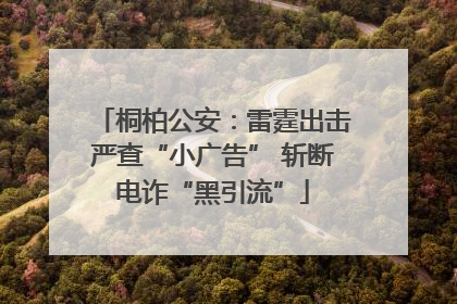 桐柏公安：雷霆出击严查“小广告” 斩断电诈“黑引流”