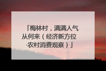 梅林村，满满人气从何来（经济新方位·农村消费观察）