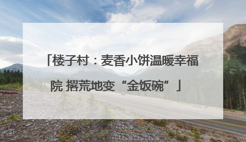 楼子村：麦香小饼温暖幸福院 撂荒地变“金饭碗”