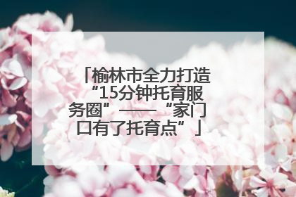 榆林市全力打造“15分钟托育服务圈”——“家门口有了托育点”