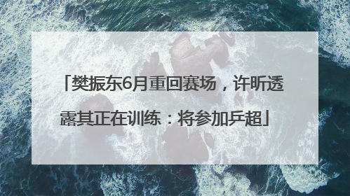 樊振东6月重回赛场,许昕透露其正在训练:将参加乒超