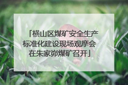 横山区煤矿安全生产标准化建设现场观摩会在朱家峁煤矿召开