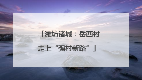 潍坊诸城：岳西村走上“强村新路”