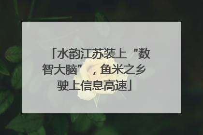 水韵江苏装上“数智大脑”，鱼米之乡驶上信息高速