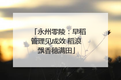 永州零陵：早稻管理见成效 稻浪飘香穗满田