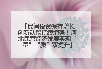 民间投资保持增长 创新动能持续增强！河北民营经济发展实现“量”“质”双提升