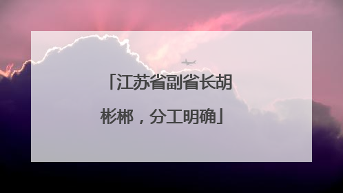 江苏省副省长胡彬郴，分工明确