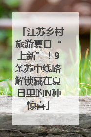 江苏乡村旅游夏日“上新”！9条苏中线路解锁藏在夏日里的N种惊喜