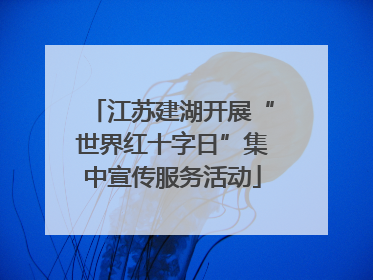 江苏建湖开展“世界红十字日”集中宣传服务活动