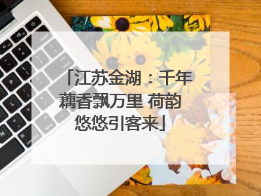 江苏金湖：千年藕香飘万里 荷韵悠悠引客来
