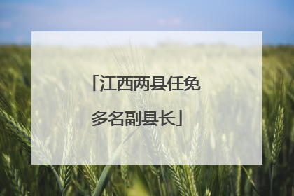 江西两县任免多名副县长