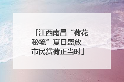 江西南昌“荷花秘境”夏日盛放 市民赏荷正当时
