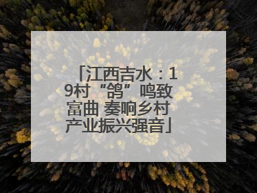 江西吉水：19村“鸽”鸣致富曲 奏响乡村产业振兴强音