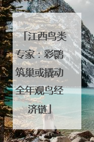 江西鸟类专家：彩鹮筑巢或撬动全年观鸟经济链