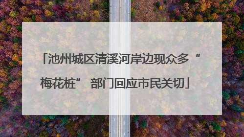 池州城区清溪河岸边现众多“梅花桩” 部门回应市民关切