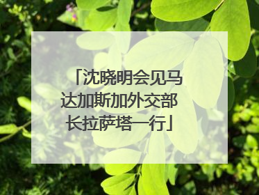 沈晓明会见马达加斯加外交部长拉萨塔一行
