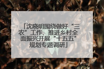 沈晓明围绕做好“三农”工作、推进乡村全面振兴开展“十五五”规划专题调研
