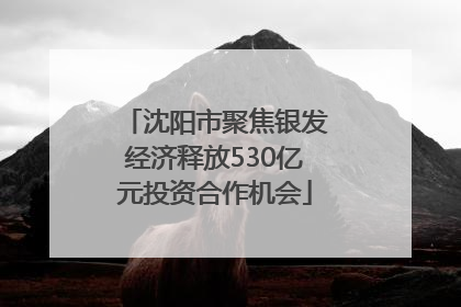 沈阳市聚焦银发经济释放530亿元投资合作机会