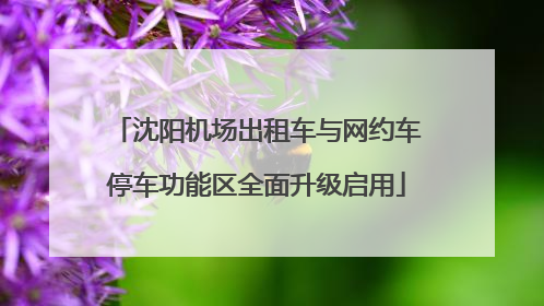 沈阳机场出租车与网约车停车功能区全面升级启用