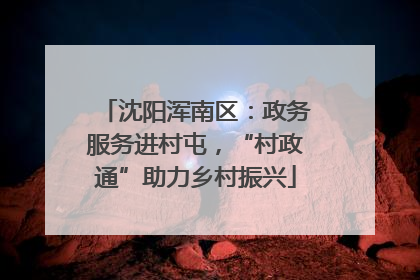 沈阳浑南区：政务服务进村屯，“村政通”助力乡村振兴