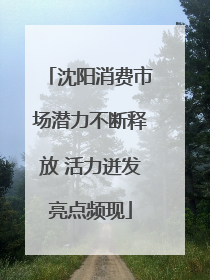 沈阳消费市场潜力不断释放 活力迸发亮点频现