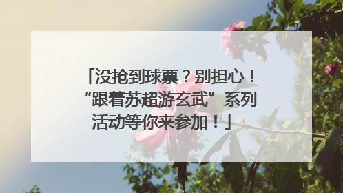 没抢到球票？别担心！“跟着苏超游玄武”系列活动等你来参加！