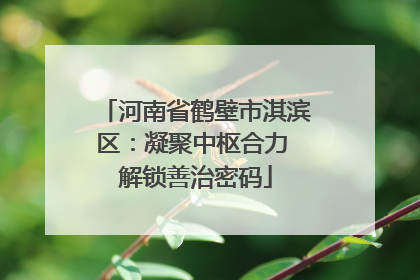 河南省鹤壁市淇滨区：凝聚中枢合力 解锁善治密码