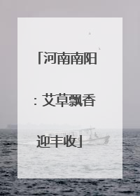 河南南阳：艾草飘香迎丰收