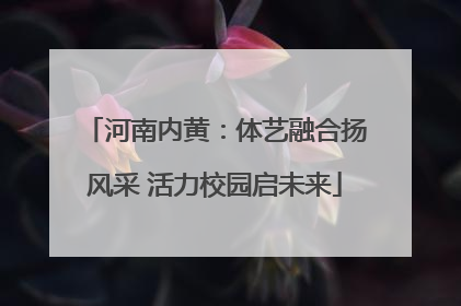 河南内黄：体艺融合扬风采 活力校园启未来