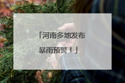 河南多地发布暴雨预警！