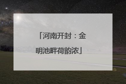 河南开封：金明池畔荷韵浓