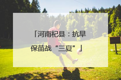 河南杞县：抗旱保苗战“三夏”