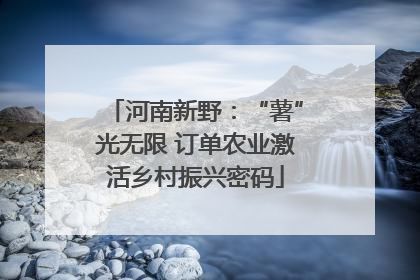 河南新野：“薯”光无限 订单农业激活乡村振兴密码