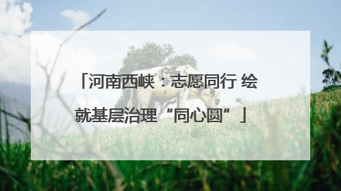 河南西峡：志愿同行 绘就基层治理“同心圆”