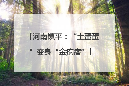 河南镇平：“土蛋蛋”变身“金疙瘩”