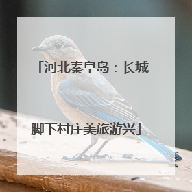 河北秦皇岛：长城脚下村庄美旅游兴