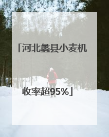 河北蠡县小麦机收率超95%