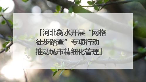 河北衡水开展“网格徒步踏查”专项行动 推动城市精细化管理