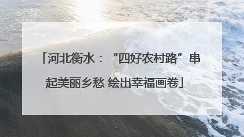 河北衡水：“四好农村路”串起美丽乡愁 绘出幸福画卷