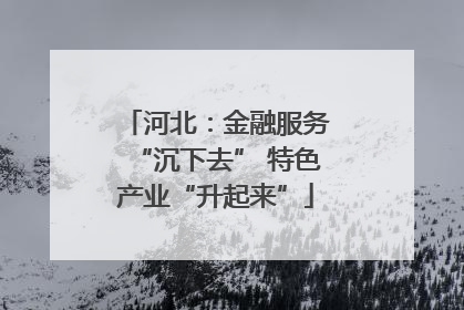 河北：金融服务“沉下去” 特色产业“升起来”